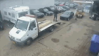 迈开腿尝尝你的草莓是什么(迈开腿尝尝森林的味道)插图22