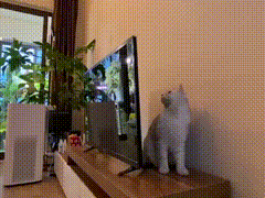 越狱禁闭攻略第七关(不可能完成的越狱第一关攻略)插图15