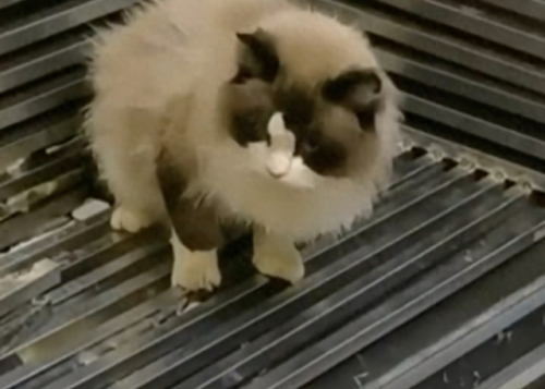 越狱禁闭攻略第七关(不可能完成的越狱第一关攻略)插图14