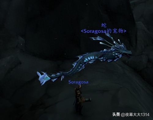 猎人 宠物(魔兽世界猎人必抓宠物)插图4 猎人 宠物(魔兽世界猎人必抓宠物)插图4