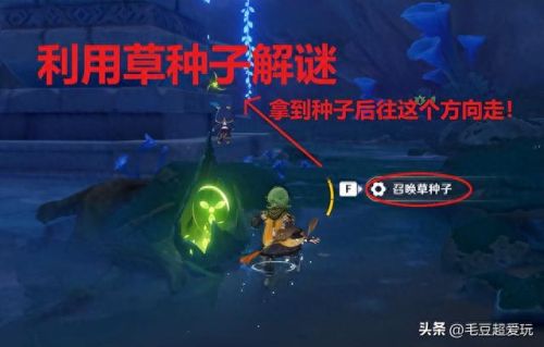 伞盖的荫蔽(伞盖是什么意思)插图3