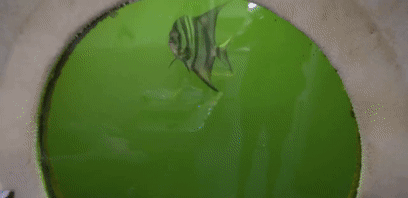 逃离水下旅馆攻略(逃离方块旅馆怎么加水)插图17