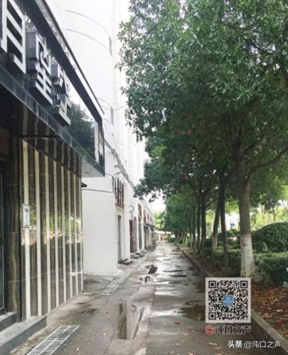 1.99神龙皓月(神龙皓月最新活动)插图4