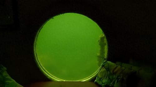 逃离水下旅馆攻略(逃离方块旅馆怎么加水)插图15