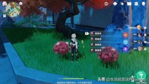 霓裳花在哪里采集(霓裳花采集路线)插图2