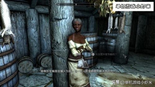 上古卷轴5安息(老滚5爱之实验室怎么玩)插图