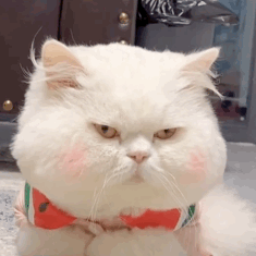 越狱禁闭攻略第七关(不可能完成的越狱第一关攻略)插图1