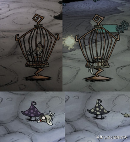 饥荒蟾蜍打法攻略(饥荒金蟾蜍怎么开大)插图2 饥荒蟾蜍打法攻略(饥荒金蟾蜍怎么开大)插图2