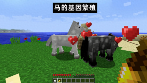 我的世界马(我的世界马厩教程)