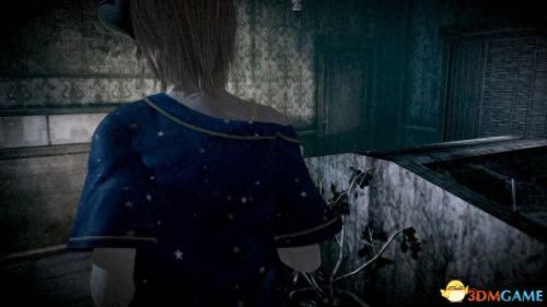 零月蚀的假面(零月蚀的假面2023年发售)插图29