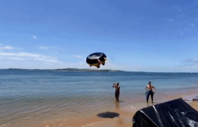 迈开腿尝尝你的草莓是什么(迈开腿尝尝森林的味道)