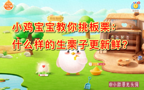 什么样的生栗子更新鲜(什么样的生栗子更新鲜蚂蚁庄园)插图