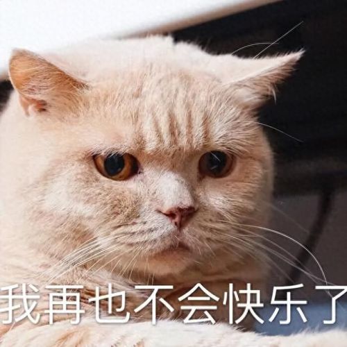 冒险岛m(冒险岛手游)插图