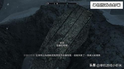 上古卷轴5安息(老滚5爱之实验室怎么玩)插图3
