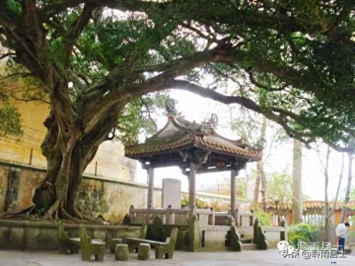 海山传送门(海山怎么去)