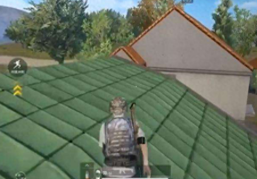 假车库上树(和平精英假车库是什么意思)