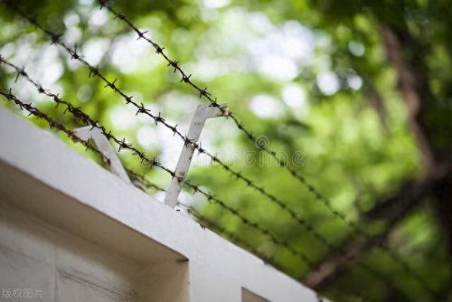 最后的愿望(免费播放韩国爱情电影大全)插图17