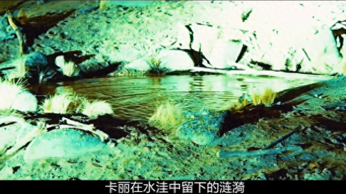 绝密飞行2(绝密飞行有第二部吗)插图5 绝密飞行2(绝密飞行有第二部吗)插图5