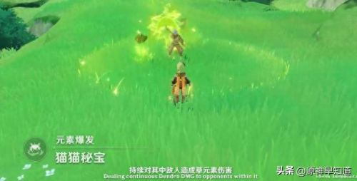 原神3.0前瞻直播时间(原神3.0前瞻直播全球时间)插图24 原神3.0前瞻直播时间(原神3.0前瞻直播全球时间)插图24