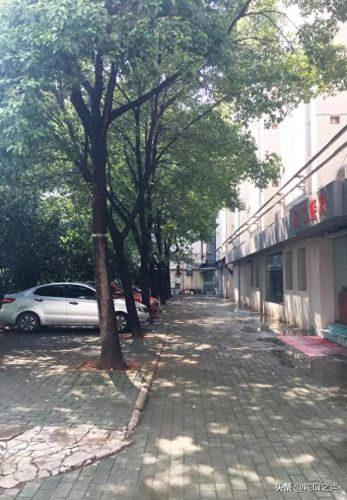 1.99神龙皓月(神龙皓月最新活动)插图10