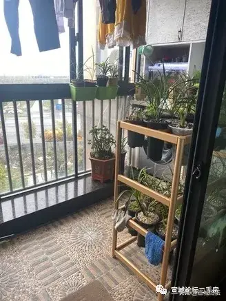 宣城论坛百姓视点(宣城头条新闻)插图18