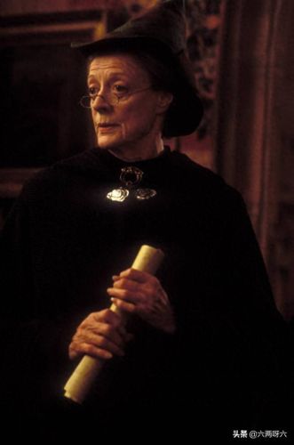 德拉科马尔福的父亲为斯莱特林(马尔福斯莱特林小少爷)插图4