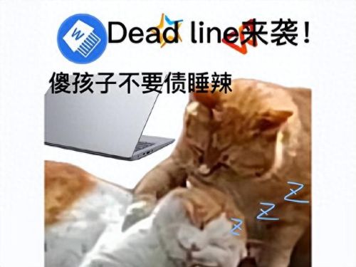 永久免费大型网游(永久免费的传奇)插图1 永久免费大型网游(永久免费的传奇)插图1