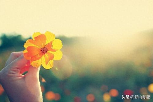 前世缘今生劫 攻略(浮世万千前世今生全攻略)插图