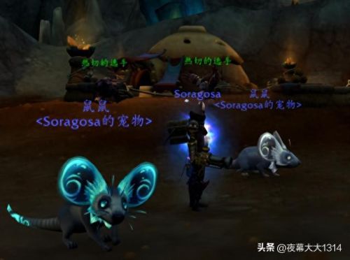 猎人 宠物(魔兽世界猎人必抓宠物)