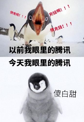 腾讯和老干妈怎么了(为啥两人用腾讯老被挤)插图12