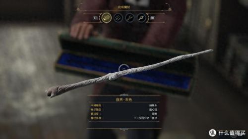 霍格沃兹遗产(霍格沃茨遗产switch可以玩吗)插图27
