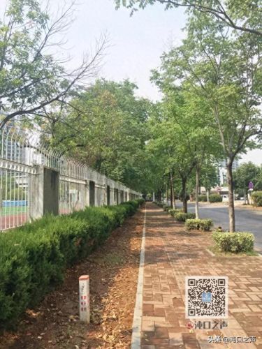 1.99神龙皓月(神龙皓月最新活动)插图15