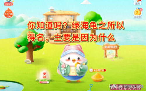 绿海龟为什么叫绿海龟(十大恐怖乌龟)插图