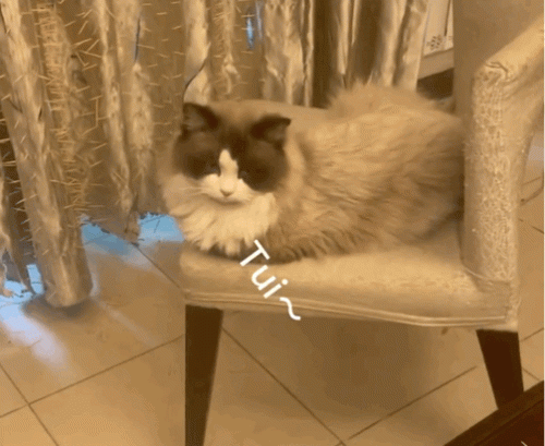 越狱禁闭攻略第七关(不可能完成的越狱第一关攻略)插图10