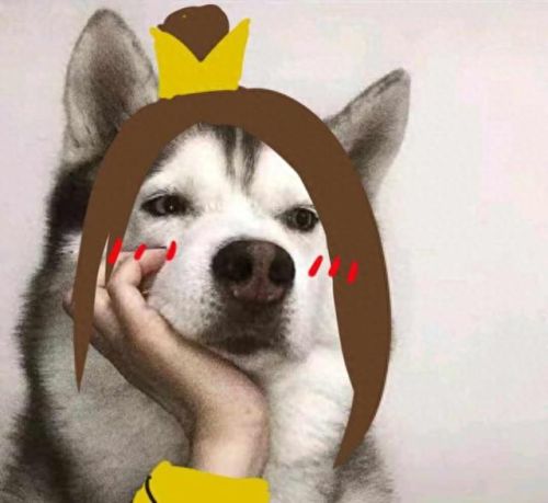 剑三竹马攻略(竹马攻略)插图10