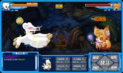 闪光皮皮怎么抓(闪光皮皮鼠)