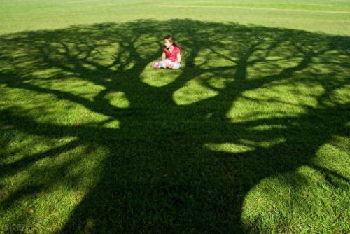 都在玩什么游戏(都在玩什么手游)插图5 都在玩什么游戏(都在玩什么手游)插图5