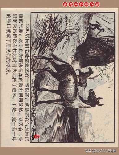 重返神秘岛1(重返神秘岛1机器人密码)插图129