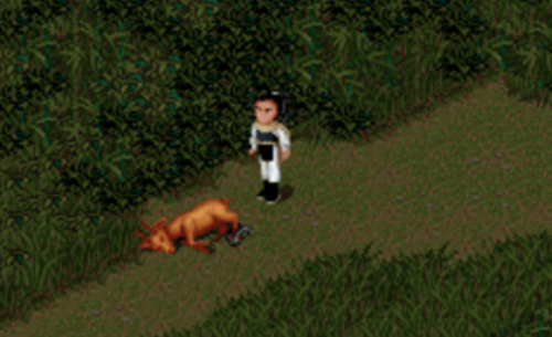 仙剑98攻略(仙剑98柔情版攻略秘籍)插图13