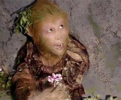 咕噜星(qq飞车咕噜星)插图32 咕噜星(qq飞车咕噜星)插图32