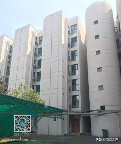 1.99神龙皓月(神龙皓月最新活动)插图12