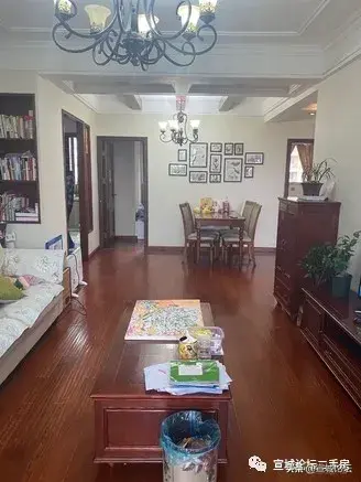 宣城论坛百姓视点(宣城头条新闻)插图20