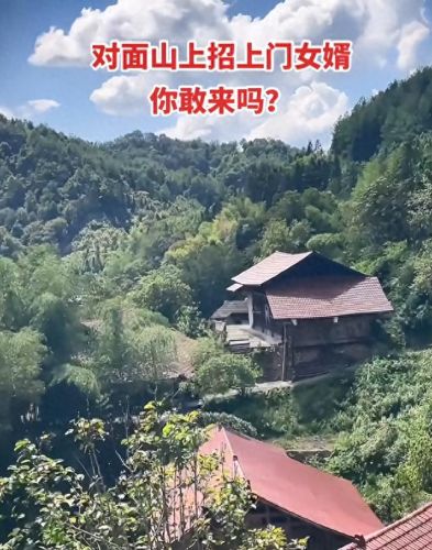 女招上门女婿(上门好女婿林凡和杨悦)插图 女招上门女婿(上门好女婿林凡和杨悦)插图