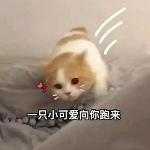 咕噜星(qq飞车咕噜星)