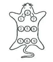 刺激战场装备标记(怎么标记装备差多少钱)插图