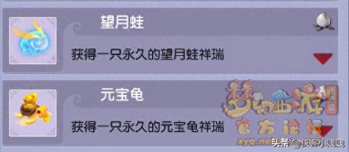 梦幻西游探访成就最佳路线(梦幻西游种族成就攻略)插图25