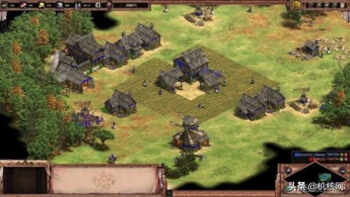 帝国时代2征服者秘籍(帝国时代2)插图7