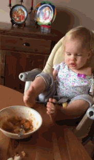 迈开腿尝尝你的草莓是什么(迈开腿尝尝森林的味道)插图14