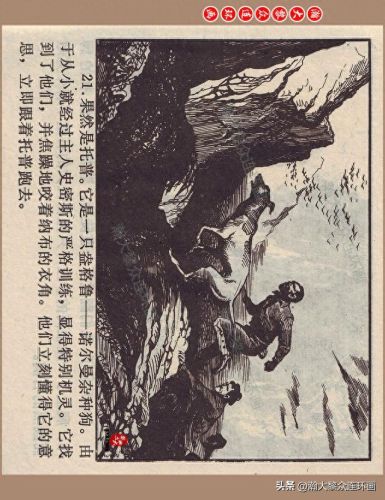 重返神秘岛1(重返神秘岛1机器人密码)插图24