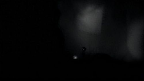 地狱边境攻略第9关(地狱边境教程第19关)插图2 地狱边境攻略第9关(地狱边境教程第19关)插图2